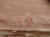Many colored handprints